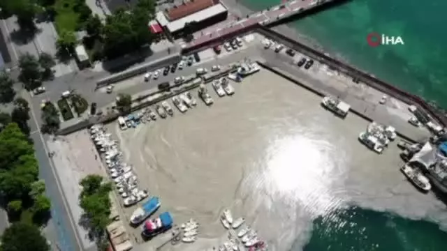 Son dakika haber: Bu görüntüler Tekirdağ'dan: Denizde salya çölü