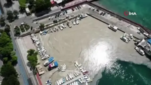Son dakika haber: Bu görüntüler Tekirdağ'dan: Denizde salya çölü