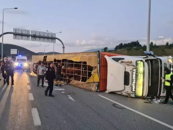 Devrilen TIR'a çarpan otomobilin sürücüsü öldü, eşi ve kızı yaralandı