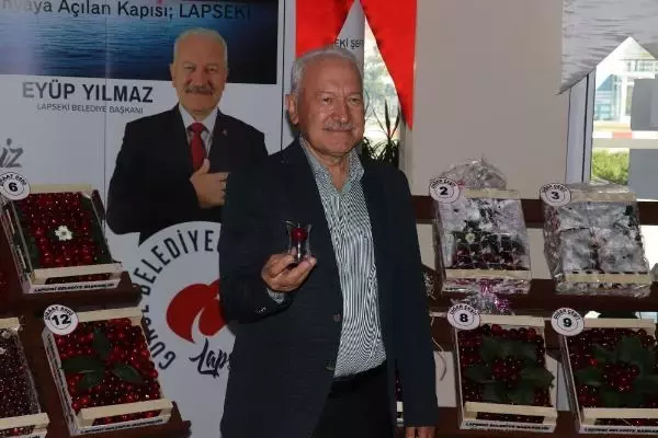 LAPSEKİ'NİN BARDAĞA SIĞMAYAN ŞAMPİYON KİRAZI
