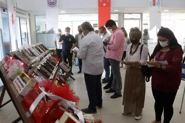 LAPSEKİ'NİN BARDAĞA SIĞMAYAN ŞAMPİYON KİRAZI
