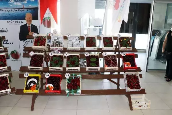 LAPSEKİ'NİN BARDAĞA SIĞMAYAN ŞAMPİYON KİRAZI