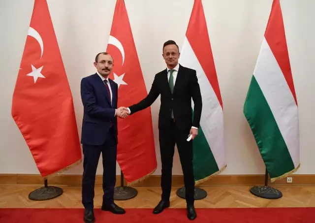 Macaristan'dan, Gümrük Birliği'nin güncellenmesi konusunda Türkiye'ye destek