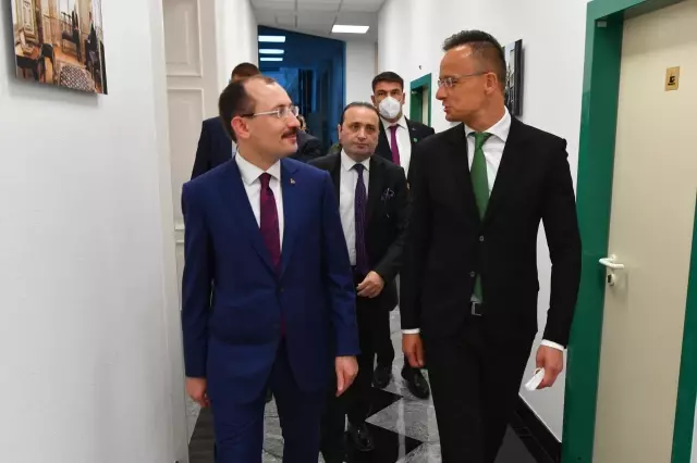 Macaristan'dan, Gümrük Birliği'nin güncellenmesi konusunda Türkiye'ye destek