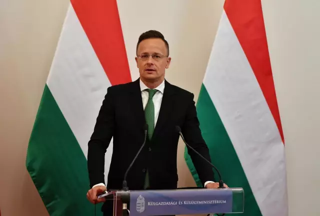 Macaristan'dan, Gümrük Birliği'nin güncellenmesi konusunda Türkiye'ye destek