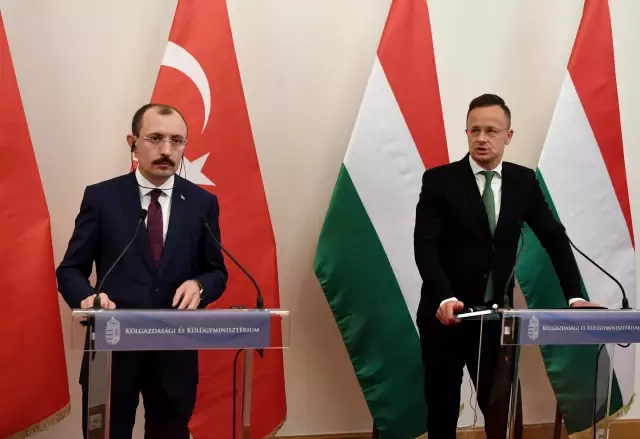 Macaristan'dan, Gümrük Birliği'nin güncellenmesi konusunda Türkiye'ye destek