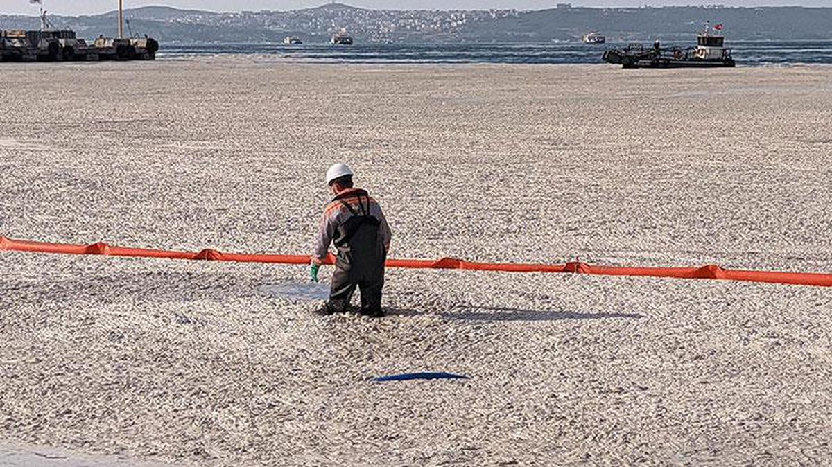 Marmara Denizi'nin kabusu korkutucu boyutlara ulaştı! İşte 5 maddede deniz salyası