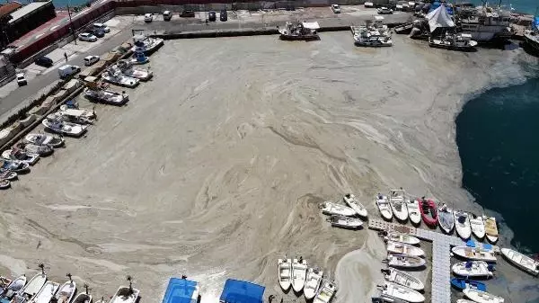 Müsilaj, yeniden Tekirdağ sahilinde Müsilaj, yeniden Tekirdağ sahilinde