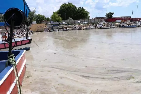 Müsilaj, yeniden Tekirdağ sahilinde