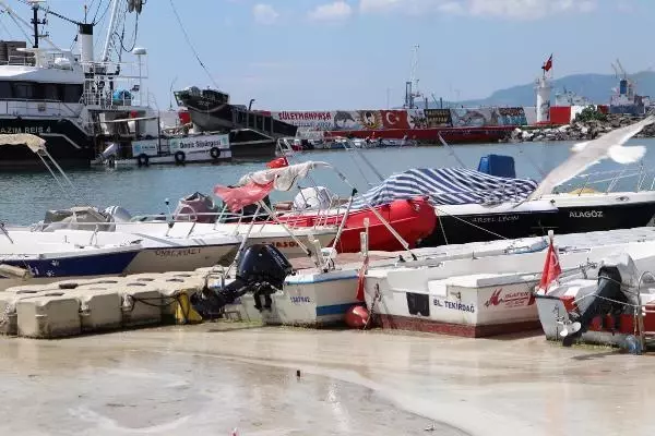 Müsilaj, yeniden Tekirdağ sahilinde
