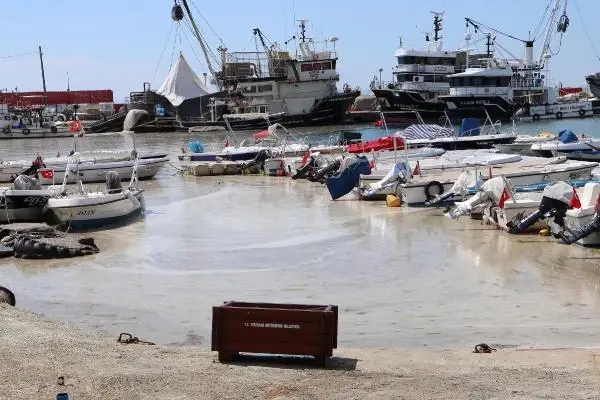 Müsilaj, yeniden Tekirdağ sahilinde