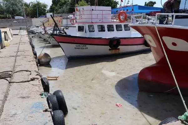 Müsilaj, yeniden Tekirdağ sahilinde