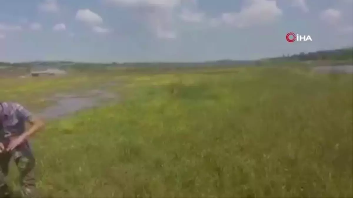 Ömerli Barajı'nda korkutan balık ölümleri
