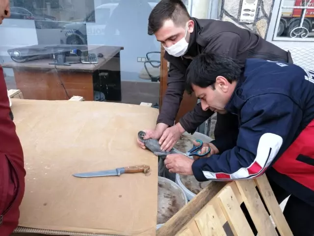 Polisten görülmemiş kurtarma operasyonu Polisten görülmemiş kurtarma operasyonu