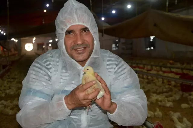 Tavuk yetiştiricilerinden beyaz et şirketlerine mesaj Tavuk yetiştiricilerinden beyaz et şirketlerine mesaj
