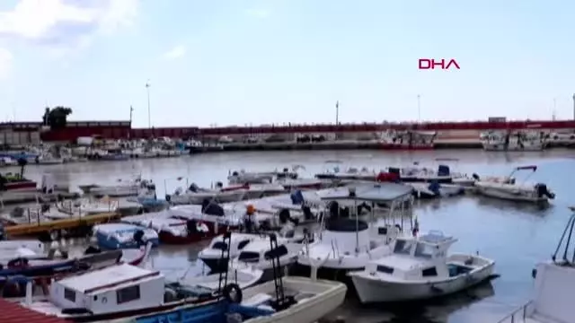 Müsilaj, yeniden Tekirdağ sahilinde