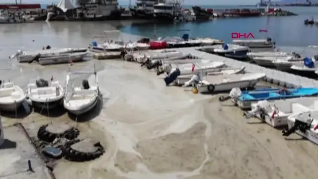 Müsilaj, yeniden Tekirdağ sahilinde