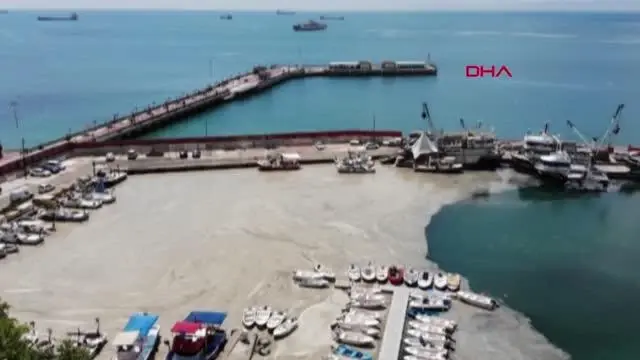 Müsilaj, yeniden Tekirdağ sahilinde