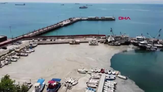 Müsilaj, yeniden Tekirdağ sahilinde