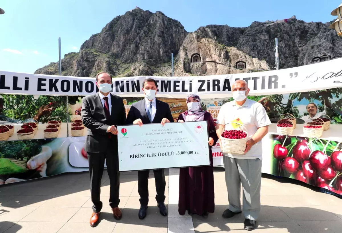Valimiz Mustafa Masatlı Meyve Diyarı Amasya'nın En İyi Kiraz Üreticisine Ödülünü Verdi