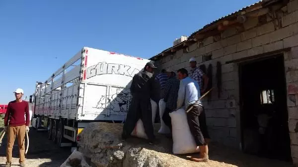 VAN'DAN BATIDAKİ İLLERE KURBANLIK SEVKİYATI BAŞLADI