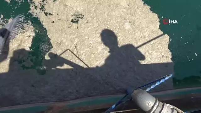 Yalova'da 9 günde bin 478 metreküp müsilaj toplandı