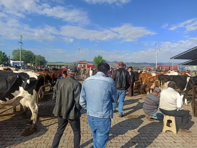 Afyon'daki kurban pazarında hareketlilik başladı Afyon'daki kurban pazarında hareketlilik başladı