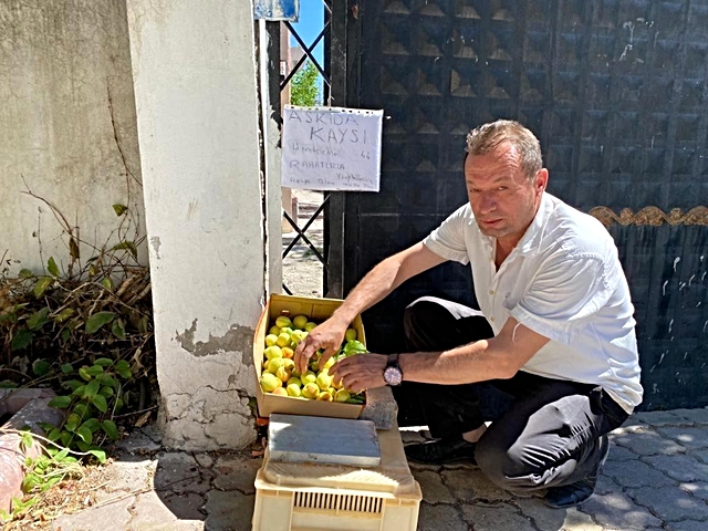 Askı'da Kayısı'ya yoğun ilgi