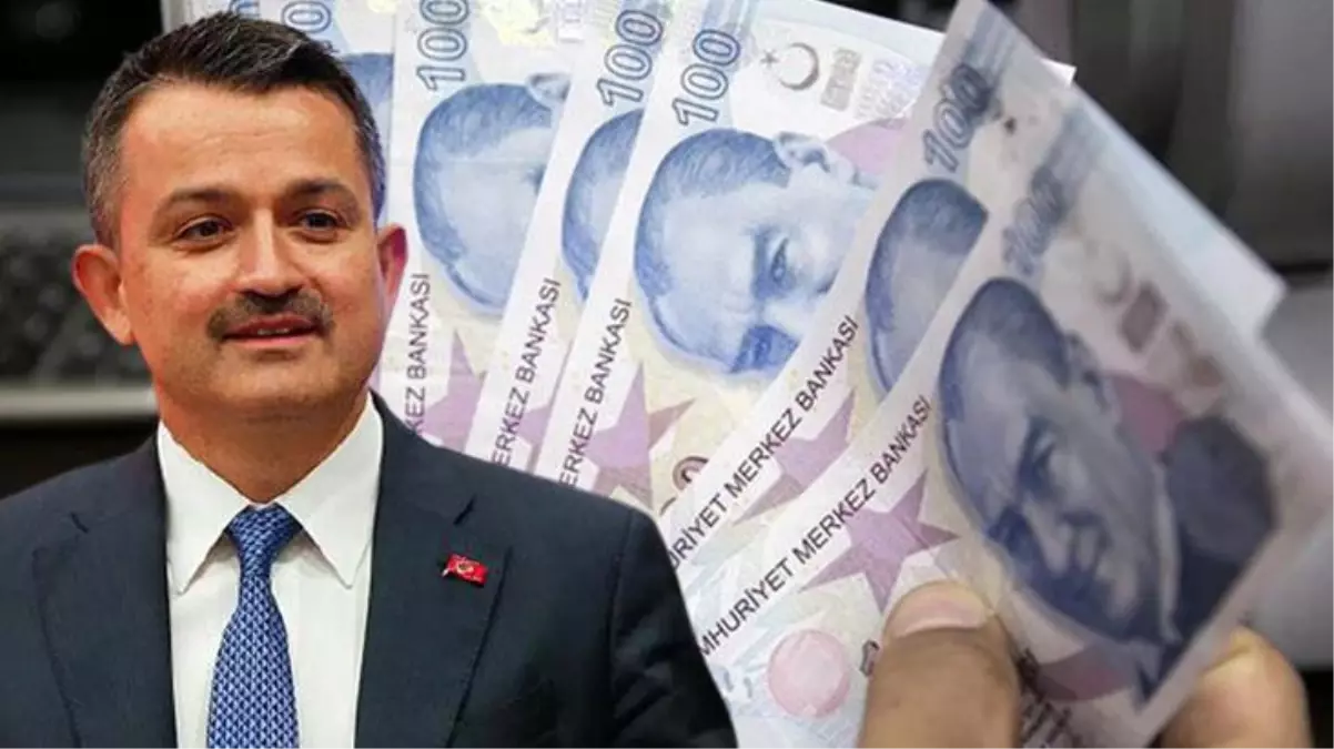 Bakan Pakdemirli çiftçilere yapılan desteği bu sözlerle anlattı: 100 bin lira hibe veriyoruz, bunu baba oğluna yapmaz