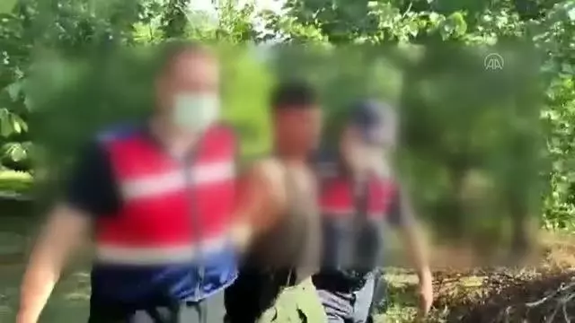 Firari hükümlü, saklandığı kiraz bahçesinde yakalandı Firari hükümlü, saklandığı kiraz bahçesinde yakalandı