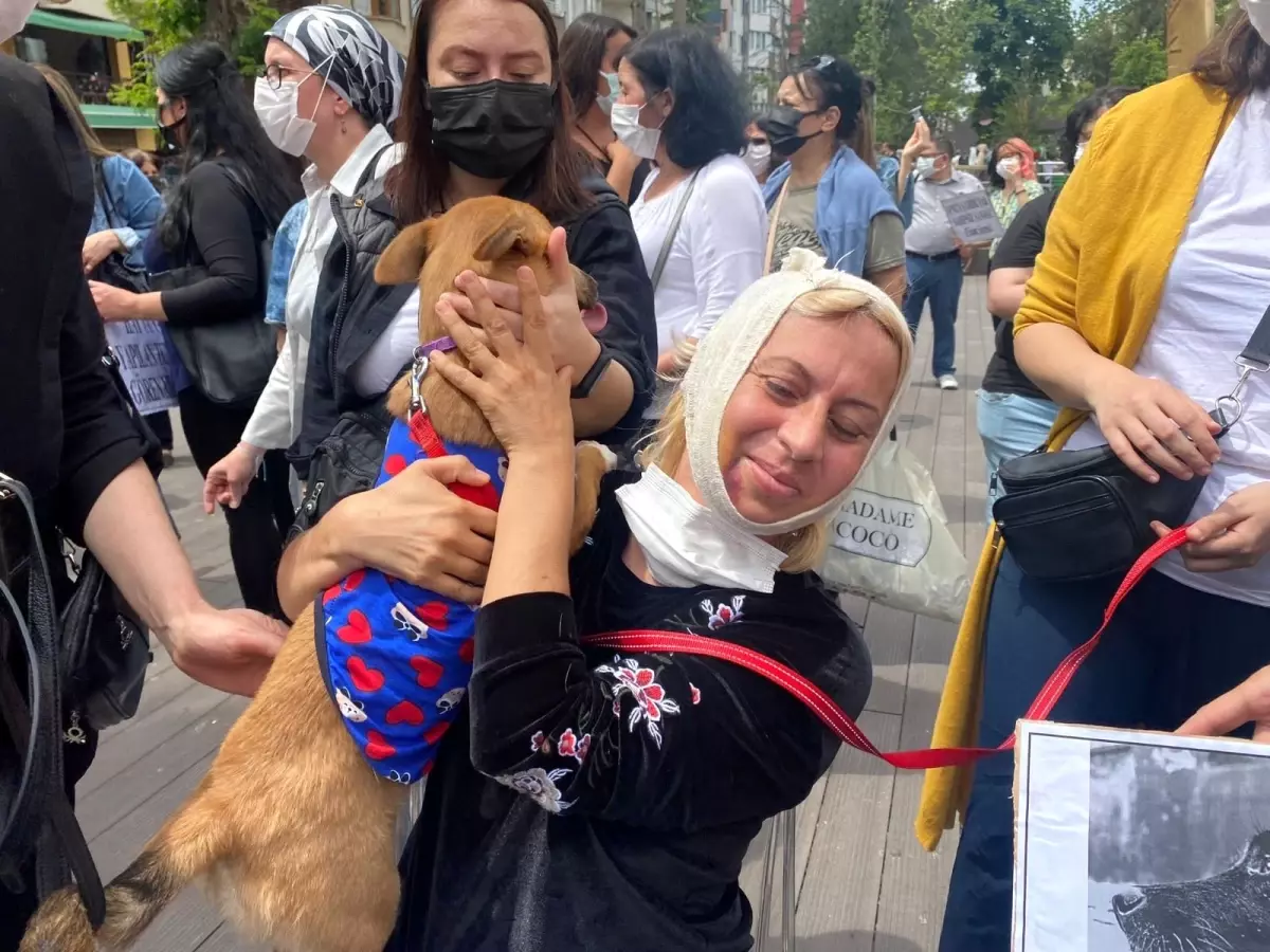 Hayvanseverler tepki göstermek için bir araya geldi