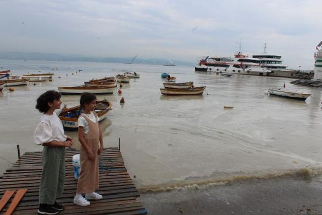 izmit korfezi nde temizlik sonrasi yine musil 12 14211272 o