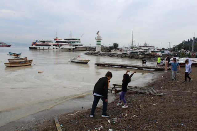 izmit korfezi nde temizlik sonrasi yine musil 14 14211272 o