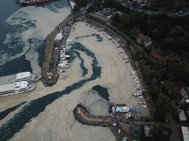 izmit korfezi nde temizlik sonrasi yine musil 5 14211272 o