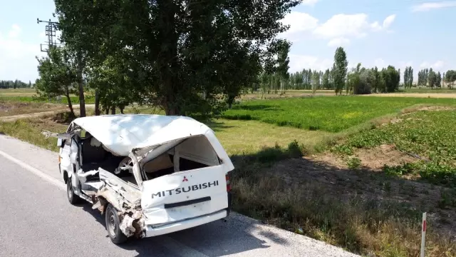 Kesimi yapılan hayvanları taşıyan kamyonet kaza yaptı! Olay sonrası yol, kan gölüne döndü