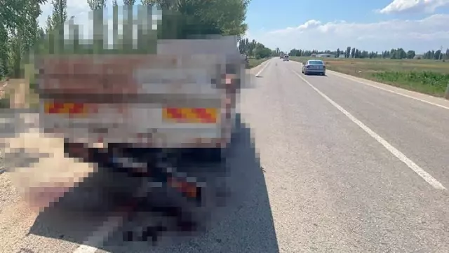 Kesimi yapılan hayvanları taşıyan kamyonet kaza yaptı! Olay sonrası yol, kan gölüne döndü Kesimi yapılan hayvanları taşıyan kamyonet kaza yaptı! Olay sonrası yol, kan gölüne döndü