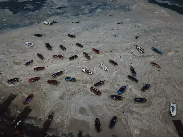 Korkutan görüntüler! Uzun uğraşlar sonucu temizlenen sahil yeniden müsilajla kaplandı Korkutan görüntüler! Uzun uğraşlar sonucu temizlenen sahil yeniden müsilajla kaplandı