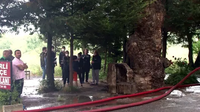 Şile'de alevlere teslim olan restoran böyle görüntülendi