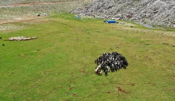 Toroslar, Yörüklerle şenlenmeye başladı