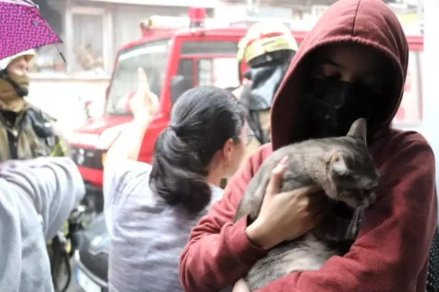 Yangında mahsur kalan kediyi kurtaran vatandaşlar büyük sevinç yaşadı