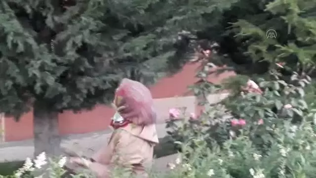 AFYONKARAHİSAR - Yuvasından düşen yavru kuşlar için seferber oldular AFYONKARAHİSAR - Yuvasından düşen yavru kuşlar için seferber oldular