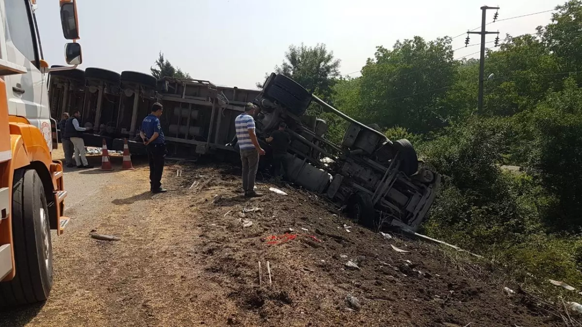 Anadolu Otoyolu'nda soya fasulyesi yüklü tır devrildi: 1 yaralı