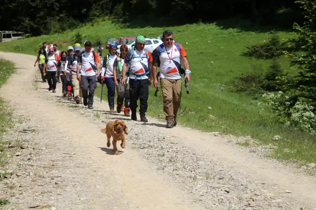 KASTAMONU - Görsel şölen sunan Kastamonu yaylaları gözde doğa turizmi rotaları arasına girecek