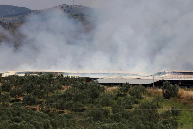 İzmir'de saman deposunda yangın çıktı