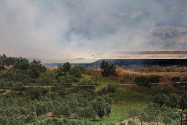 İzmir'de saman deposunda yangın çıktı