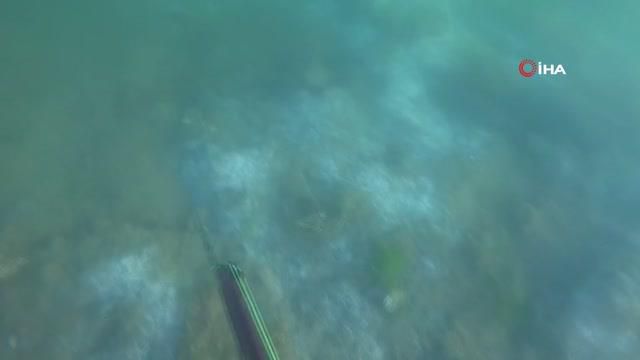 musilajin deniz altindaki tahribati boyle 2 14213626 o