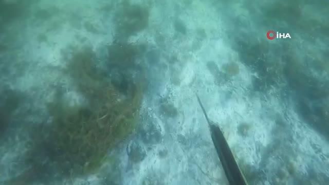 musilajin deniz altindaki tahribati boyle 4 14213626 o