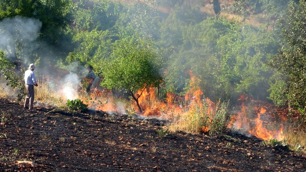 Çabaları takdir topladı! Gazeteciler hem haber yaptı, hem yangına müdahale etti
