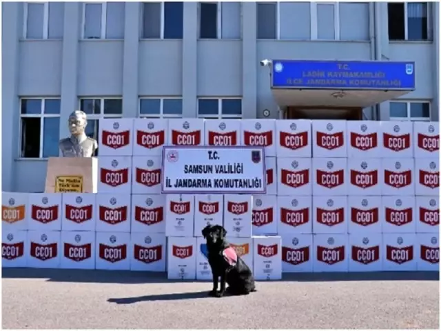 3.200.000 Bandrolsüz Makaron Ele Geçirilerek 33 Şahıs Gözaltına Alınmıştır 3.200.000 Bandrolsüz Makaron Ele Geçirilerek 33 Şahıs Gözaltına Alınmıştır