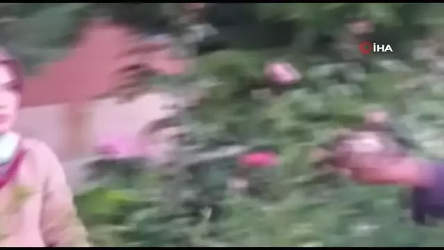 Yuvadan düşen minik saksağanlar için itfaiye seferber oldu Yuvadan düşen minik saksağanlar için itfaiye seferber oldu